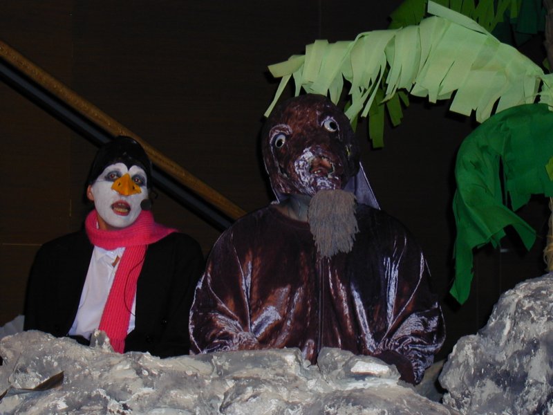 photo26.jpg