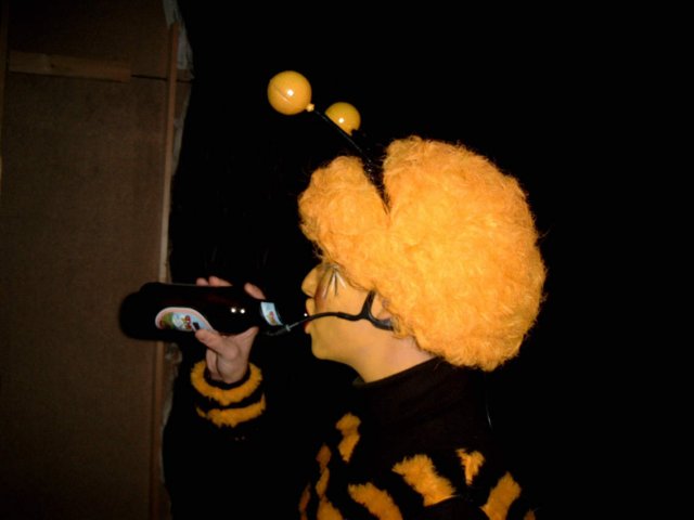orig25.jpg