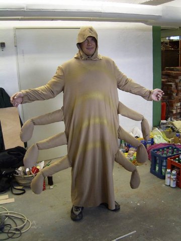 photo33.jpg