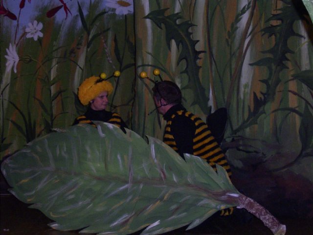 photo51.jpg