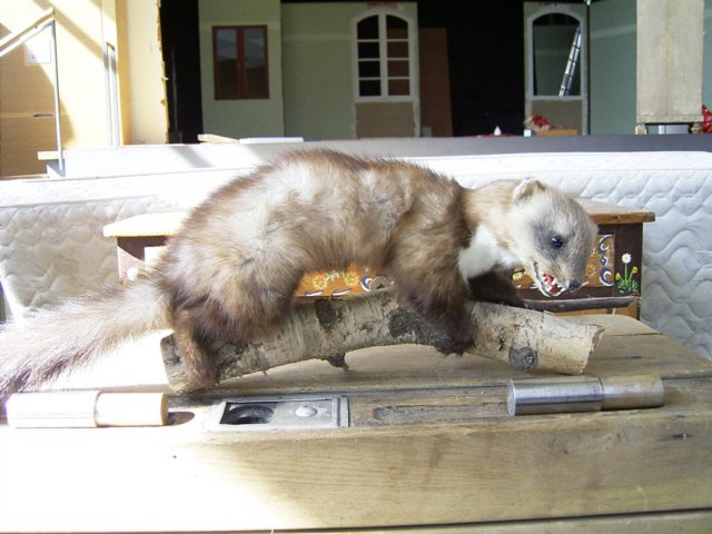 photo2.jpg