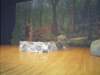 photo38_small.jpg