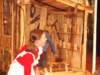rif_0748_small.jpg