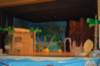 dsc_0010_small.jpg