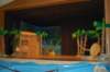 dsc_0018_small.jpg