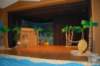 dsc_0020_small.jpg