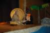 dsc_0046_small.jpg