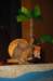 dsc_0047_small.jpg