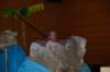 dsc_0048_small.jpg