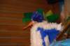 dsc_0058_small.jpg