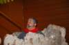 dsc_0104_small.jpg