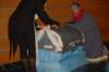 dsc_0119_small.jpg
