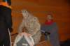 dsc_0120_small.jpg