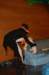 dsc_0125_small.jpg